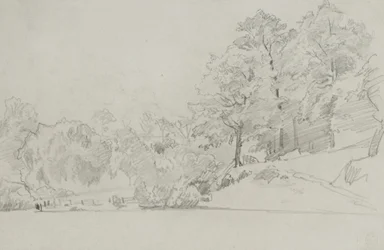Paisaje campestre